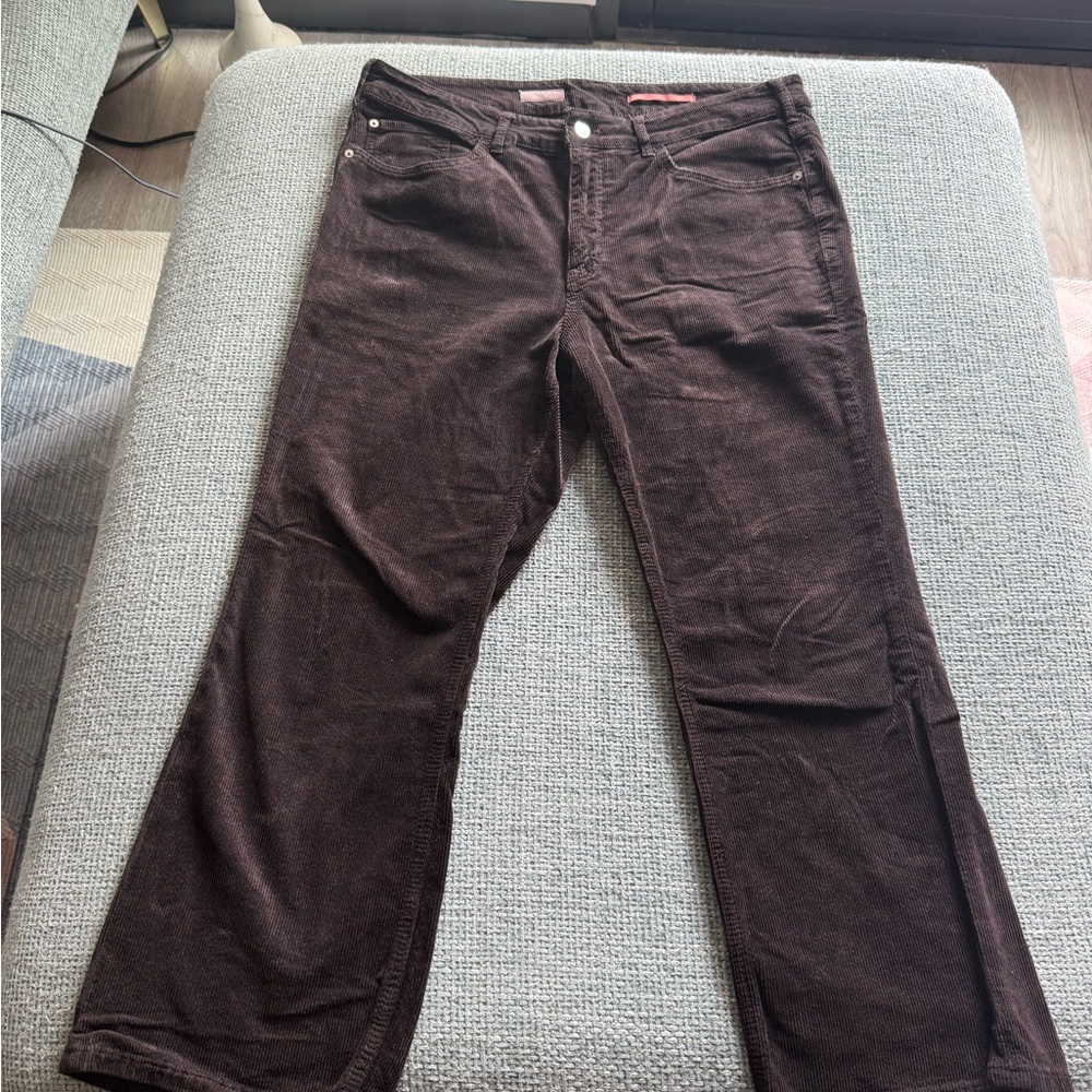 Pilcro by Anthropologie Women's Brown Cords